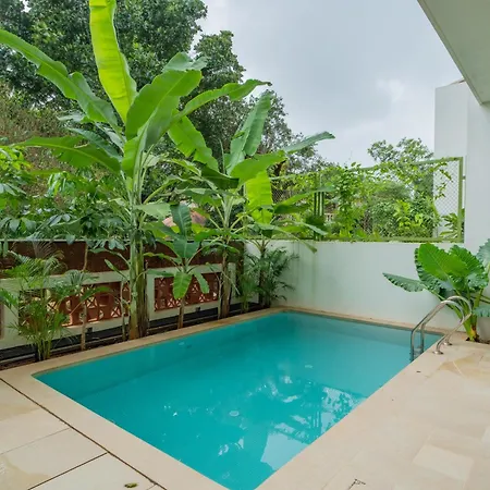 Elivaas 3 Bhk With Pvt Outdoor Pool - Mirai Gemini Villa
